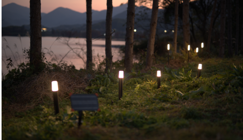 Solar Light
