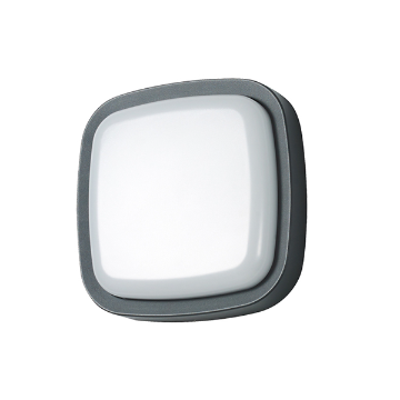 Wall Lamp - 2901
