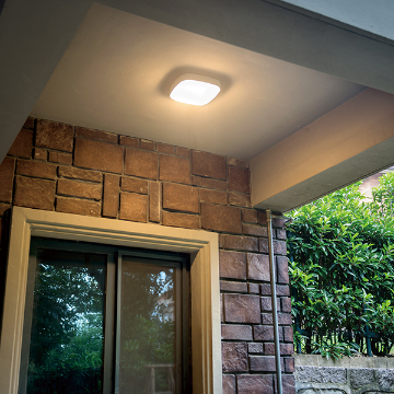 Wall Lamp - 2901
