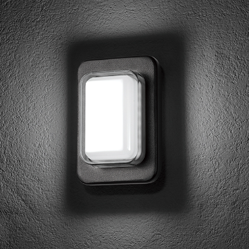 Wall Lamp - 2861