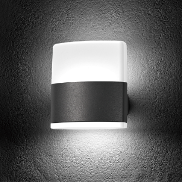 Wall Lamp - 2974
