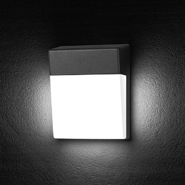 Wall Lamp - 2921