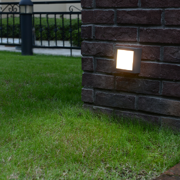 Wall Lamp - 2823