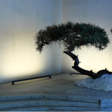 Spike Lamp - 2943