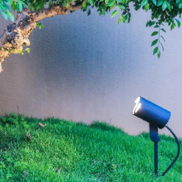 Spike Lamp - 2111