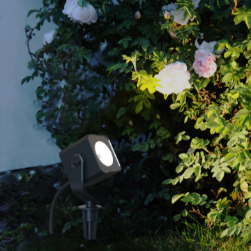 Spike Lamp - 2112