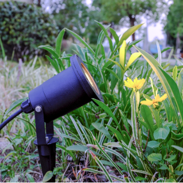Spike Lamp - 2113