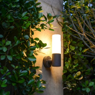 Wall Lamp - 2763