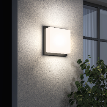 Wall Lamp - 2141