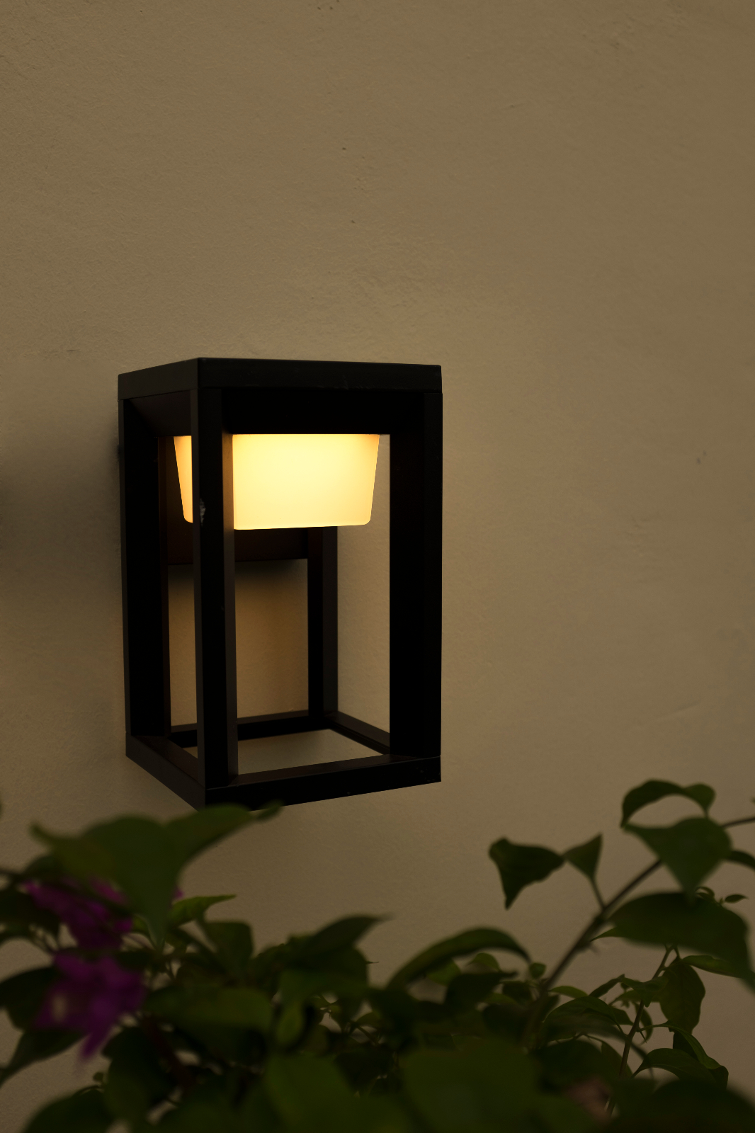 2341-LED 实景图.jpg